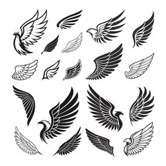 Set of Decorative Wings Illustration