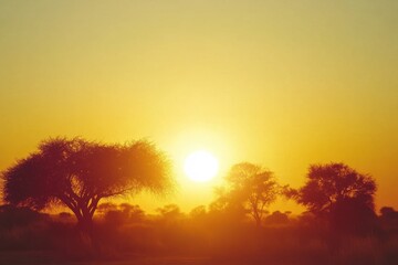 Obraz premium Vibrant African sunset time lapse showcasing a big sun and clear sky over the savanna landscape, African sunset time lapse with big sun and cloudless sky Cinematic