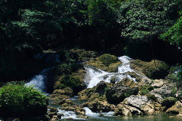 small waterfall in the forest