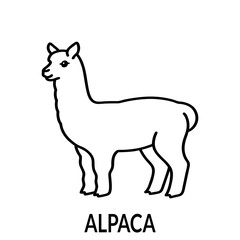 Alpaca Vector Illustration for Farm Animal Andean and Nature Designs