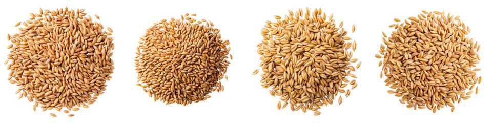 Assortment of various whole grain cereal grains
