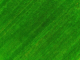 green farmland from a drone, green meadow from a bird's eye view, green meadow photo, green grass from above, green lawn from a bird's eye view