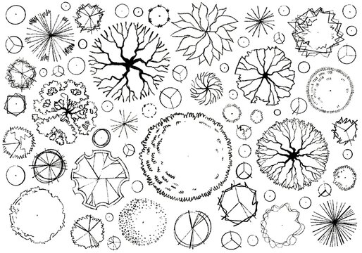 Black and white top view tree symbols in architectural landscape plan drawing set for design and drafting use