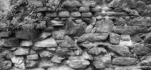 Weathered Stone Wall Rustic Texture Close-Up Monochrome Shade Architecture Background