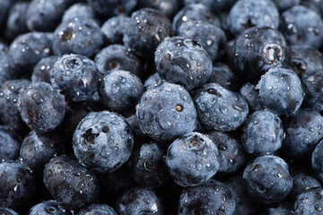 fresh blueberry fruit texture background