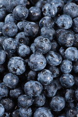 fresh blueberry fruit texture background