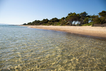 Panoramic view of the beautiful  Torre Mozza beach in Piombino, Tuscany, with crystal clear water. 