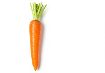 Single fresh carrot with green top lies on a white surface with plenty of copy space available