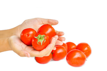 Group of ripe tomatoes in hand on white background. Soft and selective focus.