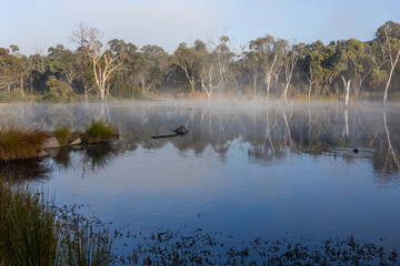 Temperature inversion mist in the early morning hangs over a reservoir on the Severn River with...