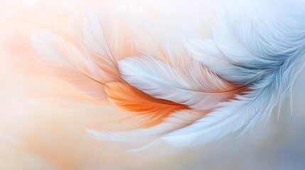 Dreamy pastel feather design, flowing softly to create a light and elegant composition.