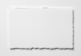 A white rectangular sheet of paper with a rough, torn edge against a white background