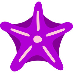 Starfish Flat Illustration
