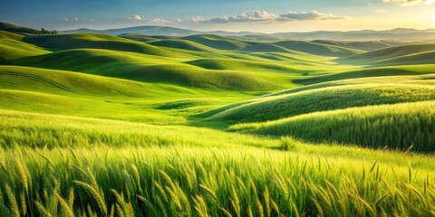 Obraz premium Rolling green hills of tall grass swaying gently in the breeze, greenery, field