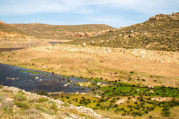 Mykonos green wetland landscape nearTechniti Limni Fragmatos Ano Meras (Artificial Lake of Ano Mera) Mykonos Island South Aegean Region (Südliche Ägäis) Greece