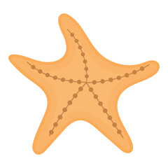 Starfish Illustration