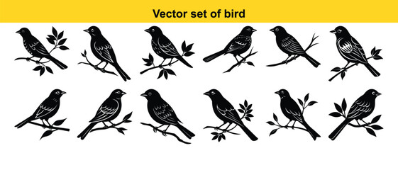 Set of silhouettes of birds isolated on white background. Vector silhouett. A vector set shows silhouettes of flying birds,a collection of black animal icon representing wild wings in natural flight  