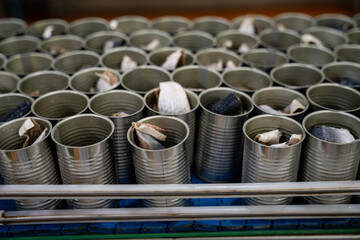 Canned food on conveyor belt in fish factory. Food processing product business of canned fish in...