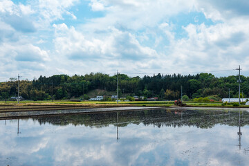 (栃木県-風景)農村と水田風景１