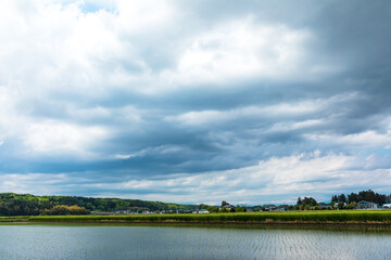 (栃木県-風景)農村と水田風景２
