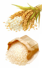 2種類の白米のイラスト