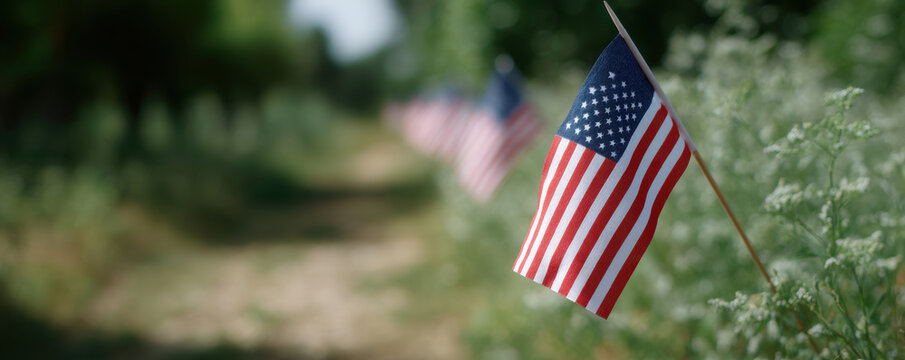 Mini American flags line garden path outdoors, creating patriotic scene