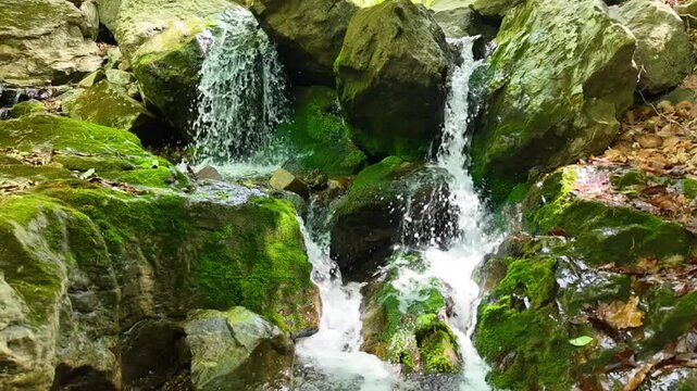 Valley for Summer Vacation ,Slow Motion ,Clear Stream flowing over rocks and rocks ,Rich Valley in slow motion ,Crystal clear water spills over rocks ,Silent natural scene ,Silent flowing riverbed