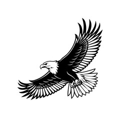 eagle vector illustration, Soaring Eagle