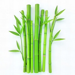 Fresh Bamboo Stalks with Leaves PNG