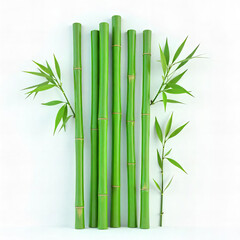 Fresh Bamboo Stalks with Leaves PNG