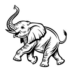 Playful Baby Elephant