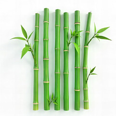 Obraz premium Fresh Bamboo Stalks with Leaves PNG