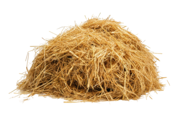 A soft pile of hay symbolizes hard work changing seasons and the rhythm of farm traditions