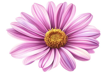 Fototapeta premium Pink daisy illustration adds a cheerful natural touch to digital designs and printed materials