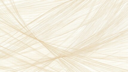 Hand-Drawn Monochrome Line Art, Asymmetric Layout