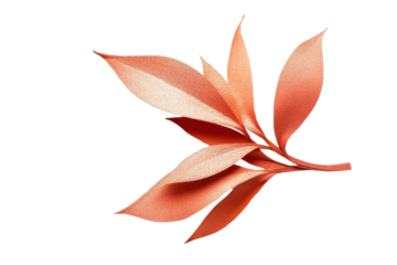 Delicate Piopiotahi paper leaves add earthy charm to stationery branding or sustainable design elements