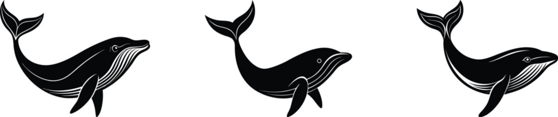 Fototapeta premium Majestic Whale Silhouettes: Three Stunning Designs