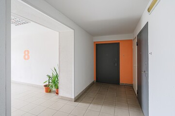 interior apartment public place, house entrance. doors, walls, staircase corridors