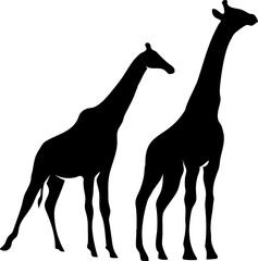 Giraffe silhouette black