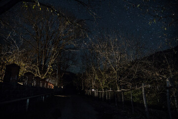 Old house with a Ghost in the forest at misty night or Night scene with House under moon. Old mystic building in dead tree forest.