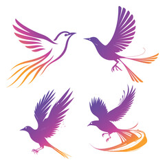 vector illustration of a set of birds
