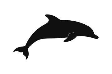 Fototapeta premium Silhouette of a cute dolphin jumping out of water