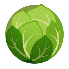 Rounded Brussels Sprout Silhouette Ideal for Healthy Food or Recipe Illustrations