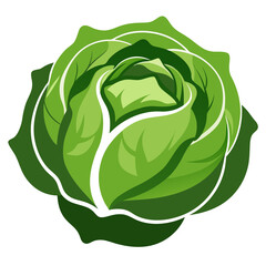 Cabbage Head with Curled Leaves in a Silhouette Design for Organic Market Use