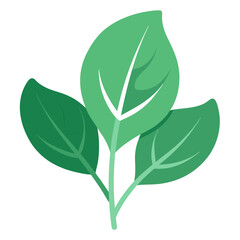 Flat Spinach Leaf Silhouettes with Stem Details in a Clean Food-Themed Design