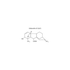 Gibberellin A7 GA7 molecular structure, gibberellin compound skeletal formula. Simple schematic illustration.