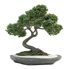 Lush green bonsai tree in a gray stone pot on a colorful background