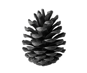 Unique black pine cone for eco-friendly design projects and crafts on a transparent background, cut out
