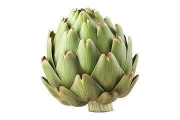 Single fresh green artichoke with detailed texture isolated on white transparent background. Concept of healthy eating, organic food, and vegetarian diet