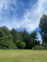 Bench on the grass in sunny day